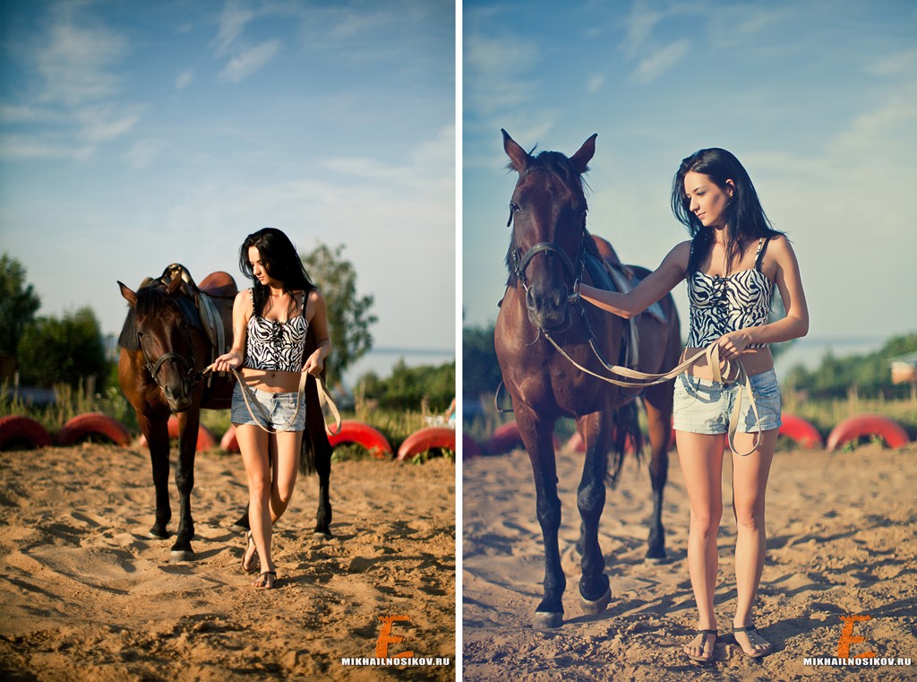фотосессия с лошадьми