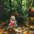 Осенний фотопроект на природе
